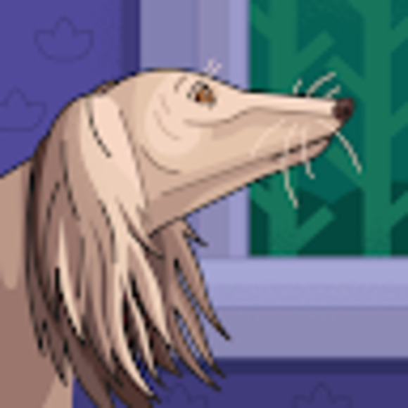 Meet your Posher, Darrell - Picture 1 of 1